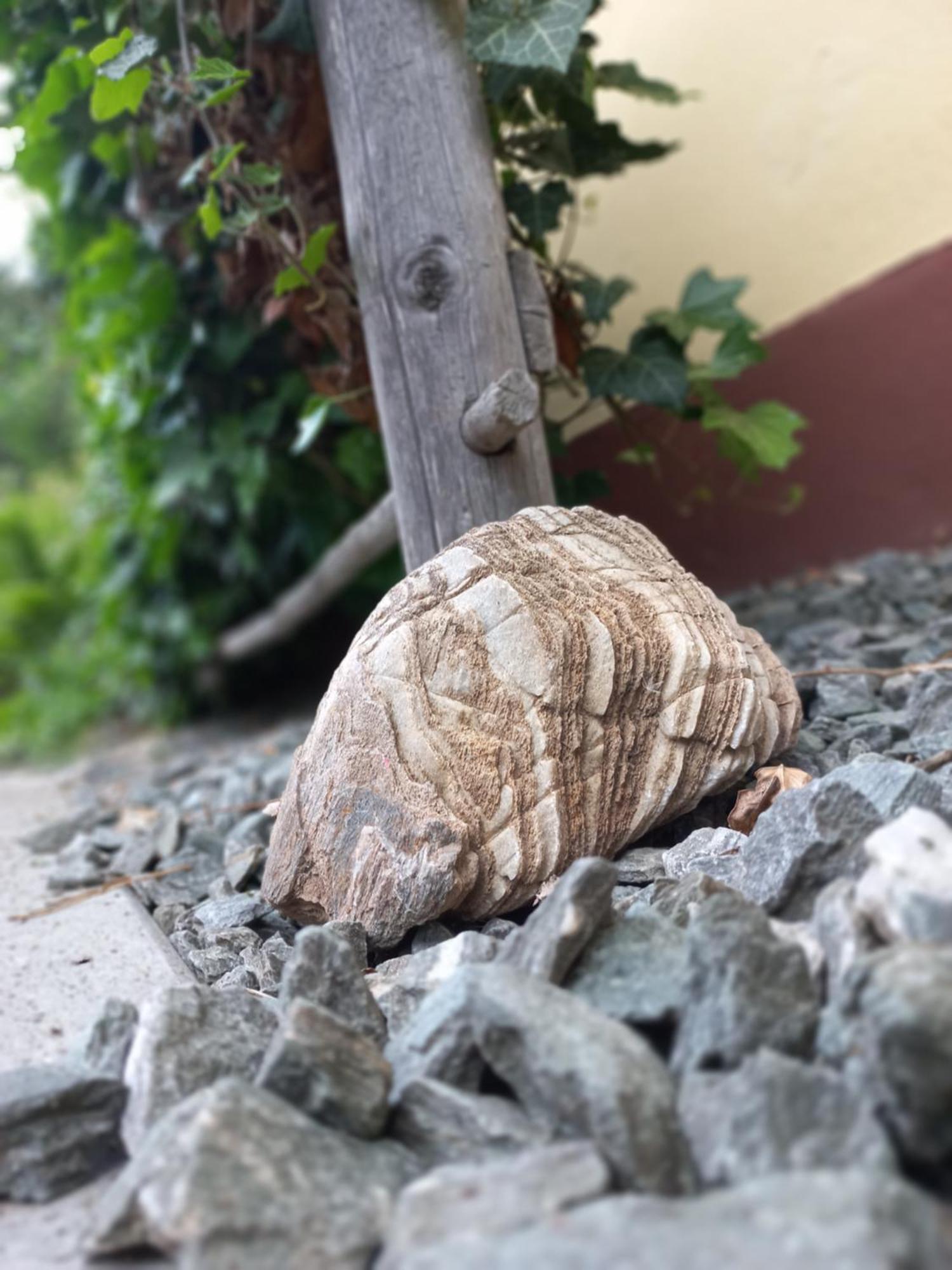 Steurer Hof Διαμέρισμα Liebenfels Εξωτερικό φωτογραφία
