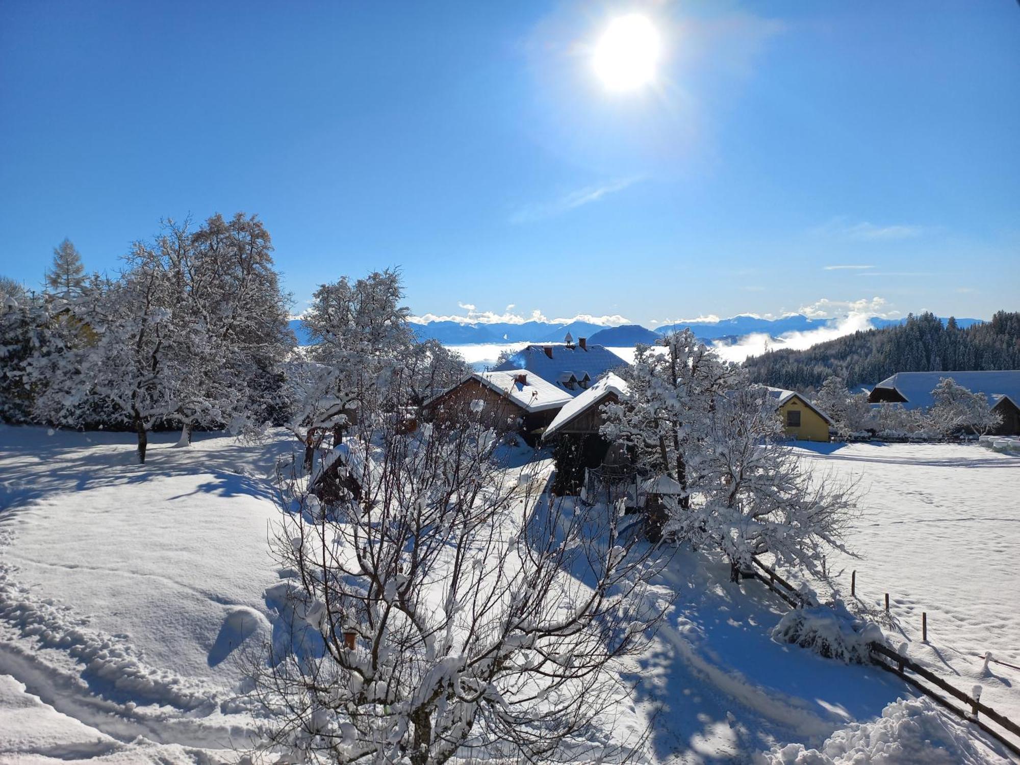 Steurer Hof Διαμέρισμα Liebenfels Εξωτερικό φωτογραφία