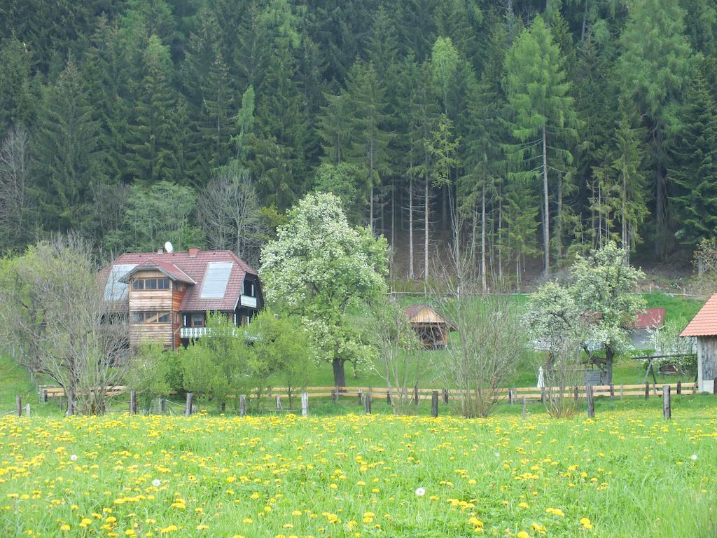 Steurer Hof Διαμέρισμα Liebenfels Εξωτερικό φωτογραφία