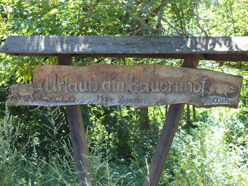Steurer Hof Διαμέρισμα Liebenfels Εξωτερικό φωτογραφία